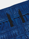 Under Armour Herren Shorts Under Armour UA Woven Emboss Short