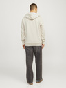 Jack & Jones Jack & Jones Herren Kapuzenpullover Beige