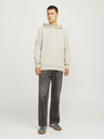 Jack & Jones Jack & Jones Herren Kapuzenpullover Beige