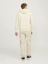 Jack & Jones Jack & Jones Herren Kapuzenpullover Beige