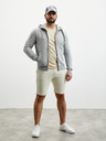 ZOOT.lab Grauer Herren-Basic-Kapuzenpullover mit Reißverschluss ZOOT.lab Michael
