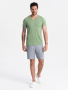 Ombre Clothing Klassisches Herren-T-Shirt BASIC mit V-Ausschnitt aus Baumwolle - grün V11 OM-TSBS-0145 Ombre Clothing