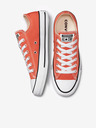 Converse Ziegelstein Damen Converse Chuck Taylor All Star Turnschuhe