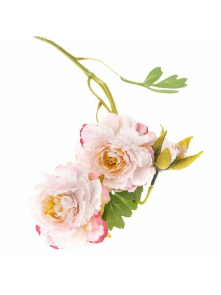 Casa de Engel Künstliche Blume, 24/288