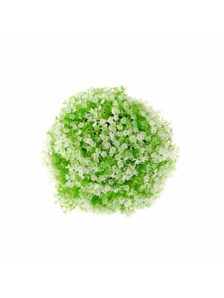 Casa de Engel Buxus mit weißer Blüte, 0/120
