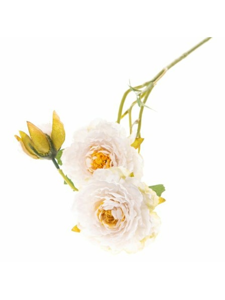 Casa de Engel Künstliche Blume, 24/288