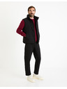 Celio Weste Fujessy