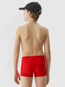 4F Jungen Badehose 4F