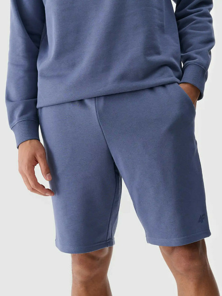 4F Herren 4F Shorts