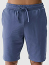 4F Herren 4F Shorts