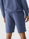4F Herren 4F Shorts