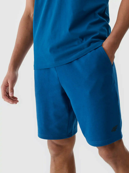 4F Herren 4F Shorts