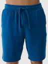 4F Herren 4F Shorts
