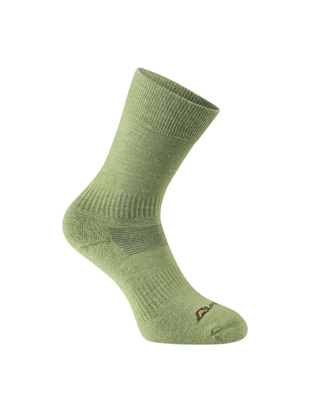 ALPINE PRO Antibakterielle Merino-Wollsocken ALPINE PRO ERATE turtle green