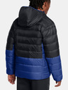 Under Armour Herren Under Armour LEGEND DOWN HOODED JACKET