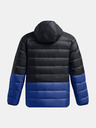 Under Armour Herren Under Armour LEGEND DOWN HOODED JACKET