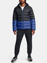 Under Armour Herren Under Armour LEGEND DOWN HOODED JACKET