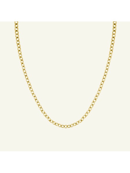 Rosefield Rosefield Halskette in Goldfarbe Oval Chainlink JNOCG-J626