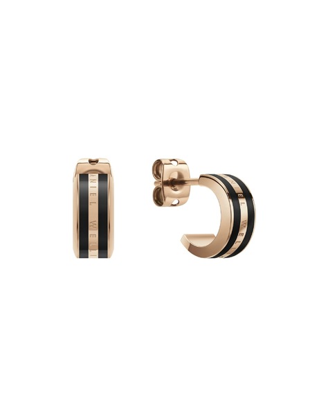 Daniel Wellington Edelstahl-Ohrringe Daniel Wellington DW00400310