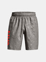 Under Armour Herren-Shorts Under Armour Woven Emboss Shorts