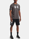 Under Armour Herren-T-Shirt Under Armour Big Logo Ss