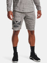 Under Armour Herren Shorts Under Armour UA Pjt Rock Terry Shorts