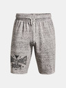 Under Armour Herren Shorts Under Armour UA Pjt Rock Terry Shorts