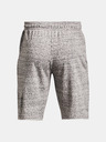 Under Armour Herren Shorts Under Armour UA Pjt Rock Terry Shorts